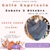 corso ai ferri, corso ai ferri pavia, corso uncinetto, corso borsa uncinetto, corso creativo ferri, corso creativo uncinetto